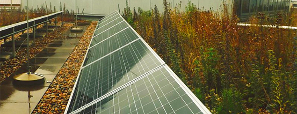 Green Roofs and Solar Energy – A Perfect Combination